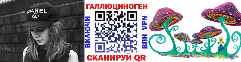 Псилоцибиновые грибы MAGIC MUSHROOMS  купить наркоту  Каргат 
